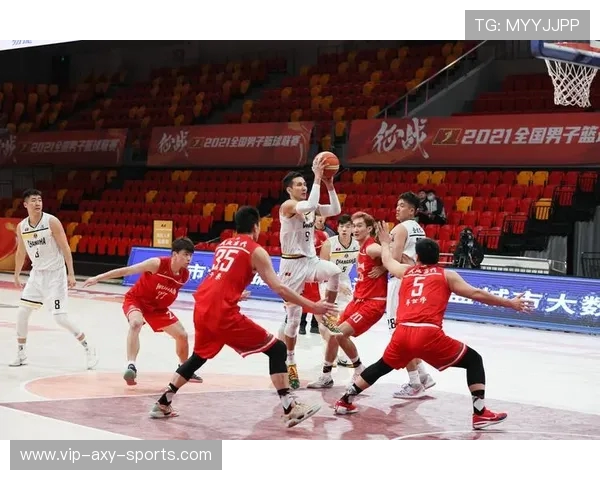 武汉篮球队实力解析与发展前景展望全面分析